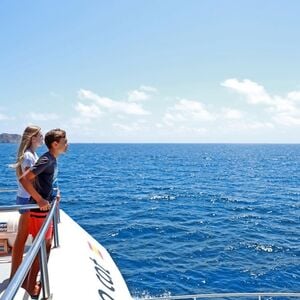 Veranstaltung: Santa Ponsa: 2 horas en barco con fondo de cristal para ver delfines, Mallorca Boat Trips in Palma de Mallorca