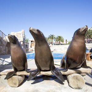 Veranstaltung: Marineland Côte d'Azur : Billet d'entrée, Marineland Côte d'Azur in Antibes