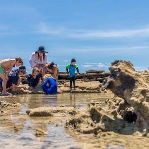 Veranstaltung: Frankland Islands Reef Cruise, Frankland Islands Reef Cruises in Cairns