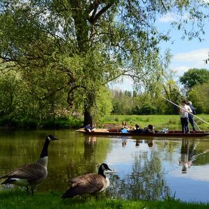 Veranstaltung: Official Oxford University & City Walking Tour, Oxford New Theatre in oxford