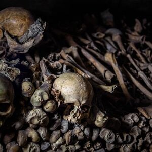 Veranstaltung: Catacombes de Paris : Visite guidée en anglais, Les Catacombes de Paris in Paris