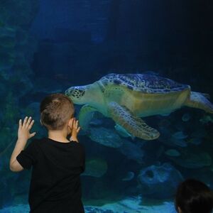 Veranstaltung: Sea Life & Legoland® Istanbul, Legoland® Discovery Centre Istanbul in Istanbul