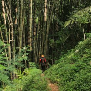 Veranstaltung: Bali: Canyoning + Transfer with Breakfast and Lunch, Bali Water Activities in Bali