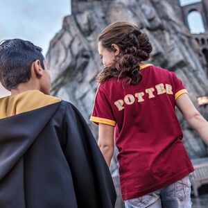 Veranstaltung: Universal Orlando: 3-Park Park-to-Park Ticket with 2-5 Day Options, Universal Volcano Bay in Orlando