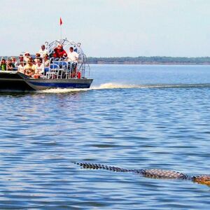 Veranstaltung: Everglades 60 min Airboat & Wildlife Show & Roundtrip Transport from Miami, Miami Everglades Airboat Tours in Miami