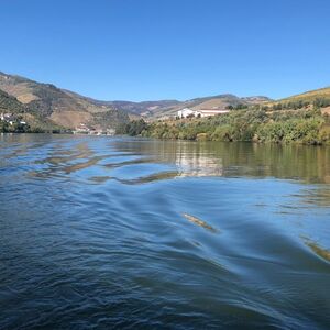 Veranstaltung: Vale do Douro: Visita às vinhas, degustação, passeio de barco + almoço, Douro Valley Day Trips from Porto in Porto