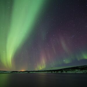 Veranstaltung: Northern Lights: 3-Hr Bus Tour + Transfer, Northern Lights Tours from Reykjavik in Reykjavík