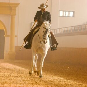 Veranstaltung: Real Escuela Andaluza de Arte Ecuestre: "Cómo bailan los caballos andaluces", Royal Andalusian School of Equestrian Art in Jerez de la Frontera