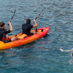 Veranstaltung: Los Cristianos: Guided Kayak Tour, Tenerife Water Activities in Tenerife