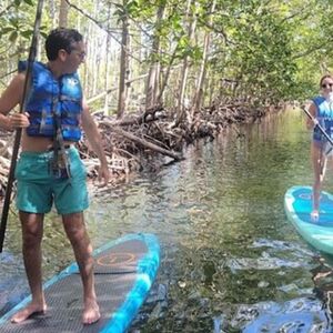 Veranstaltung: Mangrove Jungle: SUP / Kayak Adventure + Drinks, Miami Water Activities in Miami