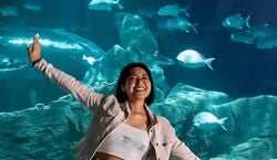 Veranstaltung: Acuario Michin Guadalajara: Entrada, Michin Aquarium Guadalajara in Guadalajara