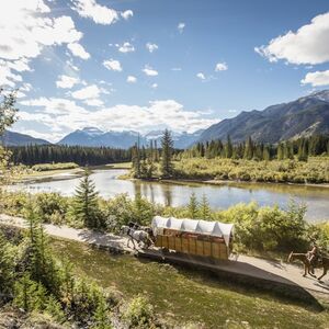 Veranstaltung: Cowboy Cookout: Wagon Ride from Banff, Banff City Tours in Banff