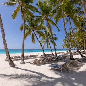 Veranstaltung: Saona Island: Tour by Classic Semi-Submarine, Punta Cana Day Trips in Punta Cana