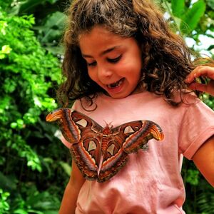 Veranstaltung: Mariposario de Benalmádena: Entrada, Benalmadena Butterfly Park in Benalmádena