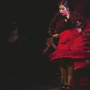 Veranstaltung: Casa Ana Granada: Espectáculo Flamenco Tradicional, Tablao Flamenco Casa Ana Granada in Granada