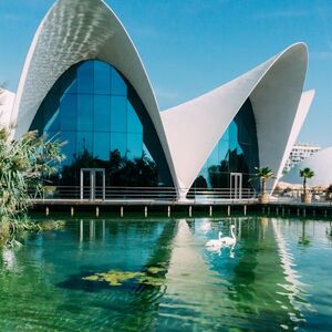 Veranstaltung: Valencia Bus Turistic: Tour en Autobús Hop-on Hop-off + Entrada al Oceanogràfic, Valencia Hop-on Hop-off Tours in València