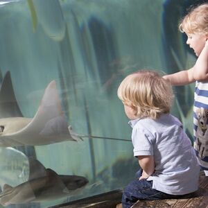 Veranstaltung: Aquarium SEA LIFE Paris, SEA LIFE Paris Val d'Europe in Serris