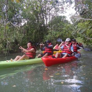 Veranstaltung: Mangrove Kayaking in Singapore, Adventures by Asian Detours in Singapore