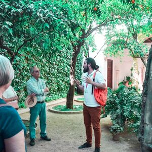 Veranstaltung: Palacio de Viana y patios: Visita guiada, Viana Palace in Córdoba