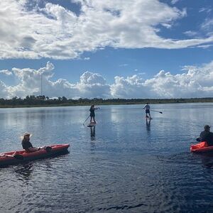 Veranstaltung: New Smyrna Dolphin and Manatee Kayak and SUP Adventure Tour, Divito Park in New Smyrna Beach