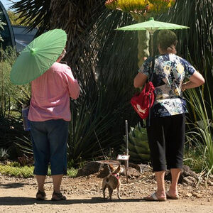 Veranstaltung: Ruth Bancroft Garden General Admission Ticket, The Ruth Bancroft Garden in Walnut Creek