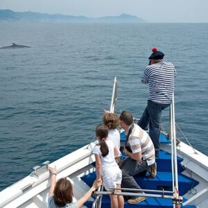 Veranstaltung: Acquario di Genova e crociera con osservazione delle balene, Aquarium of Genoa in Genoa