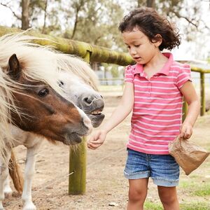 Veranstaltung: Oakvale Wildlife Park: Entry Ticket, Oakvale Wildlife Park in New South Wales