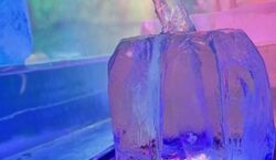 Event: IceBar Köln Erlebnis, IceBar Cologne in Köln