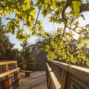 Veranstaltung: Parque de Serralves: bilhete de entrada e Treetop Walk, Fundação Serralves in Porto