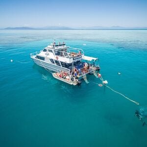 Veranstaltung: Ocean Freedom Great Barrier Reef Tour, Cairns Aquarium in Cairns City