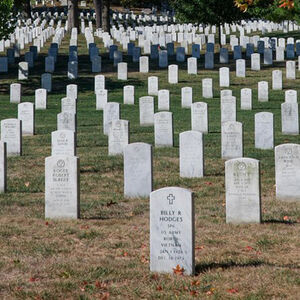 Veranstaltung: Arlington National Cemetery Guided Walking Tour, Arlington National Cemetery in Arlington