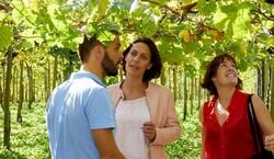 Event: Bodega de txakolí y Getaria: Tour guiado desde San Sebastián, Day Trips from San Sebastián in San Sebastián