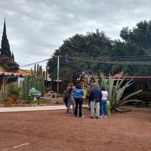 Veranstaltung: Desde Ciudad de México: Plaza De Las Tres Culturas y Teotihuacán + Taller Artesanal, Day Trips from Mexico City in Mexico City