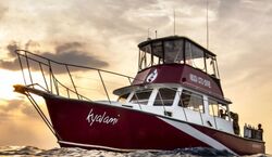 Veranstaltung: Palm Beach: Island Cruise on the Intracoastal, in West Palm Beach