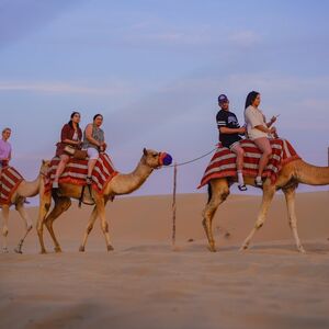 Veranstaltung: Dubai Desert Safari: Camel Ride, Sandboarding, BBQ Dinner & Quad Ride, Dubai Desert Safari in Dubai