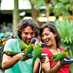 Veranstaltung: Currumbin Wildlife Sanctuary General Entry Ticket, Currumbin Wildlife Sanctuary in Currumbin