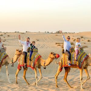 Veranstaltung: Dubai: Full Day Morning City Tour with Transport and Sunset Desert Safari, Dubai Desert Safari in Dubai