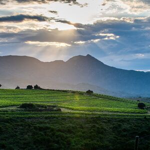 Veranstaltung: Martín Faixó - Sa Perafita: Visita guiada de la bodega con cata, Celler Martín Faixó - Sa Perafita in Cadaqués