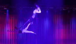 Veranstaltung: Zirkus Chicana - Tierisch verrückt, Sternenzelt in Dietzenbach