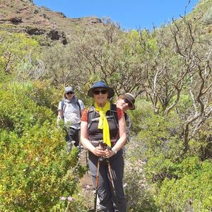 Veranstaltung: Antequera: Excursión Guiada de Senderismo con Regreso en Barco, Parque Rural de Anaga in San Cristóbal de La Laguna