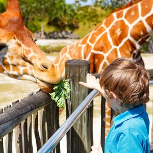 Veranstaltung: Zoo Miami: Skip The Line Ticket, Zoo Miami in Miami