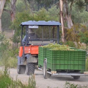 Veranstaltung: Yarra Valley: Winery Tour with Lunch + Transport from Melbourne, Yarra Valley Day Trips from Melbourne in Melbourne