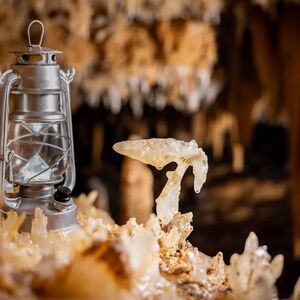 Veranstaltung: La grotte Grand Roc: Visite guidée en français, Grotte du Grand Roc in Les Eyzies