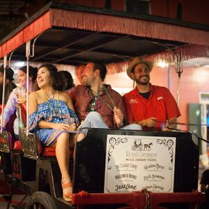 Veranstaltung: French Quarter by Mule Drawn Carriage: 60-Minute Tour, City Cards New Orleans in New Orleans