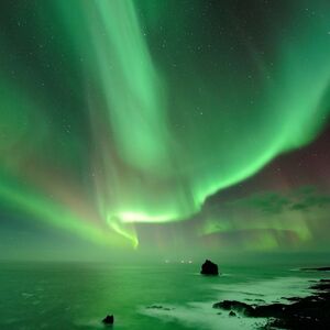 Veranstaltung: Northern Lights: 3-Hr Small Group Bus Tour + Transfer, Northern Lights Tours from Reykjavik in Reykjavík