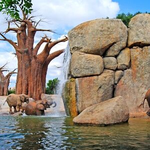 Veranstaltung: Bioparc Valencia: Entrada de acceso rápido, Bioparc Valencia in València