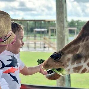 Veranstaltung: Lion Country Safari: Drive Through Safari + Adventure Park, Lion Country Safari in Loxahatchee