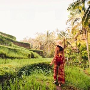 Veranstaltung: Ubud: Private Guided Tour + Transport, Ubud Guided Tours in Ubud