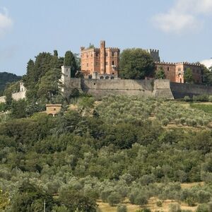 Veranstaltung: Tour dei vigneti e del castello del Chianti con degustazione di vini, Day Trips from Siena in Siena