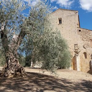 Veranstaltung: Abbazia di Sant'Antimo: Salta la fila, Abbazia di Sant'Antimo in Castelnuovo dell’Abate